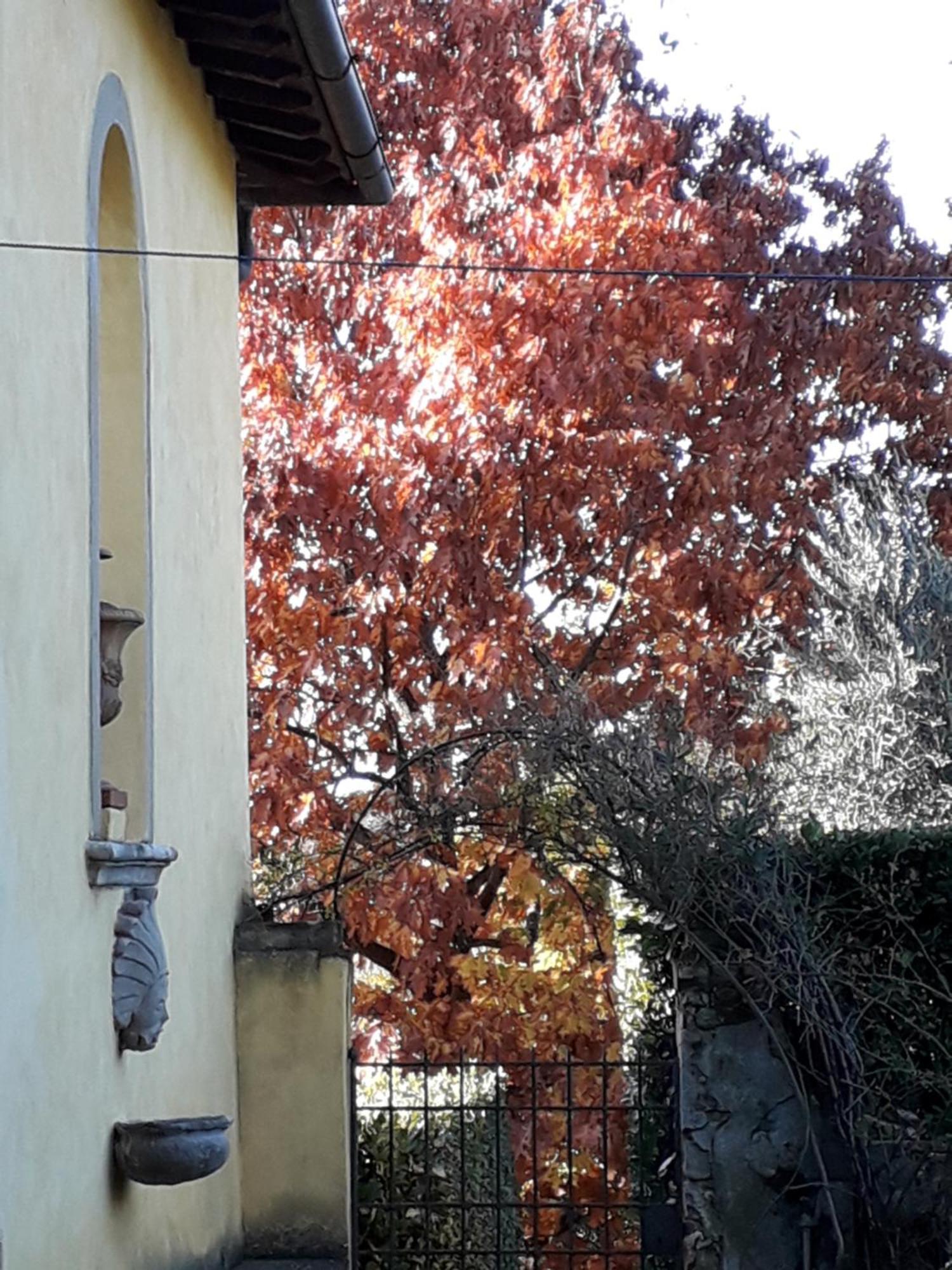 Villa Le Pergole- Firenze Exterior photo